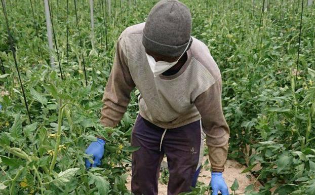 Los agricultores desarrollan planes de prevención contra la Covid-19