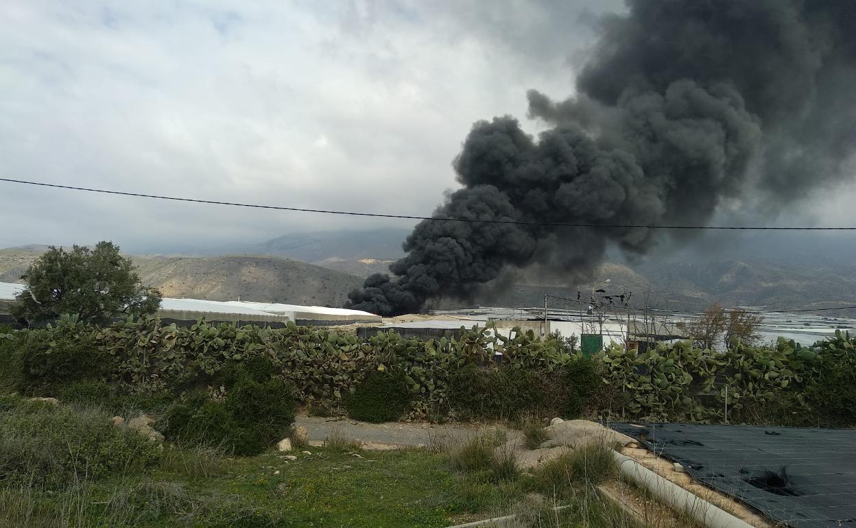 Sucesos en Almería | Arde un almacén de hortalizas en El Ejido