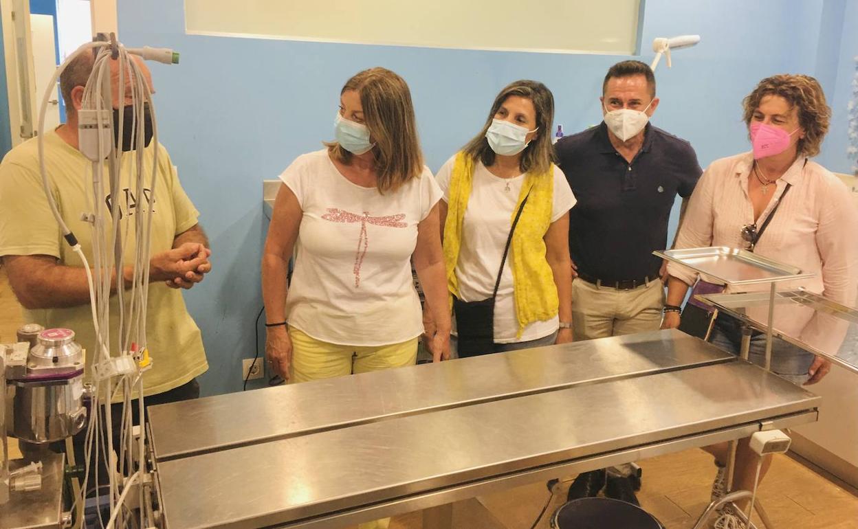 El Ejido prepara una ordenanza para regular y controlar las colonias felinas