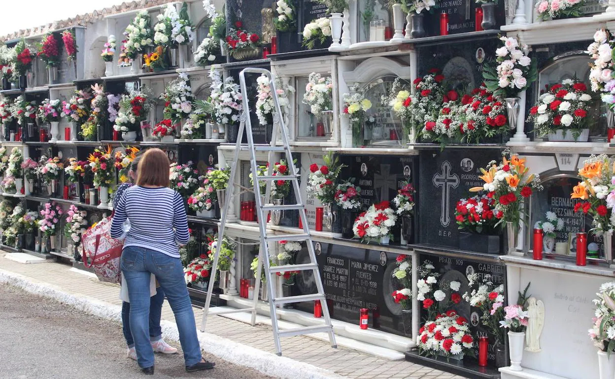 Imagen del Cementerio Municipal de El Ejido para el Día de los Santos. 