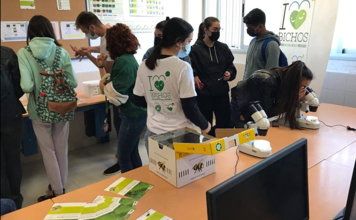 Almería combate la obesidad junto a Europa desde la educación con proyectos Erasmus +