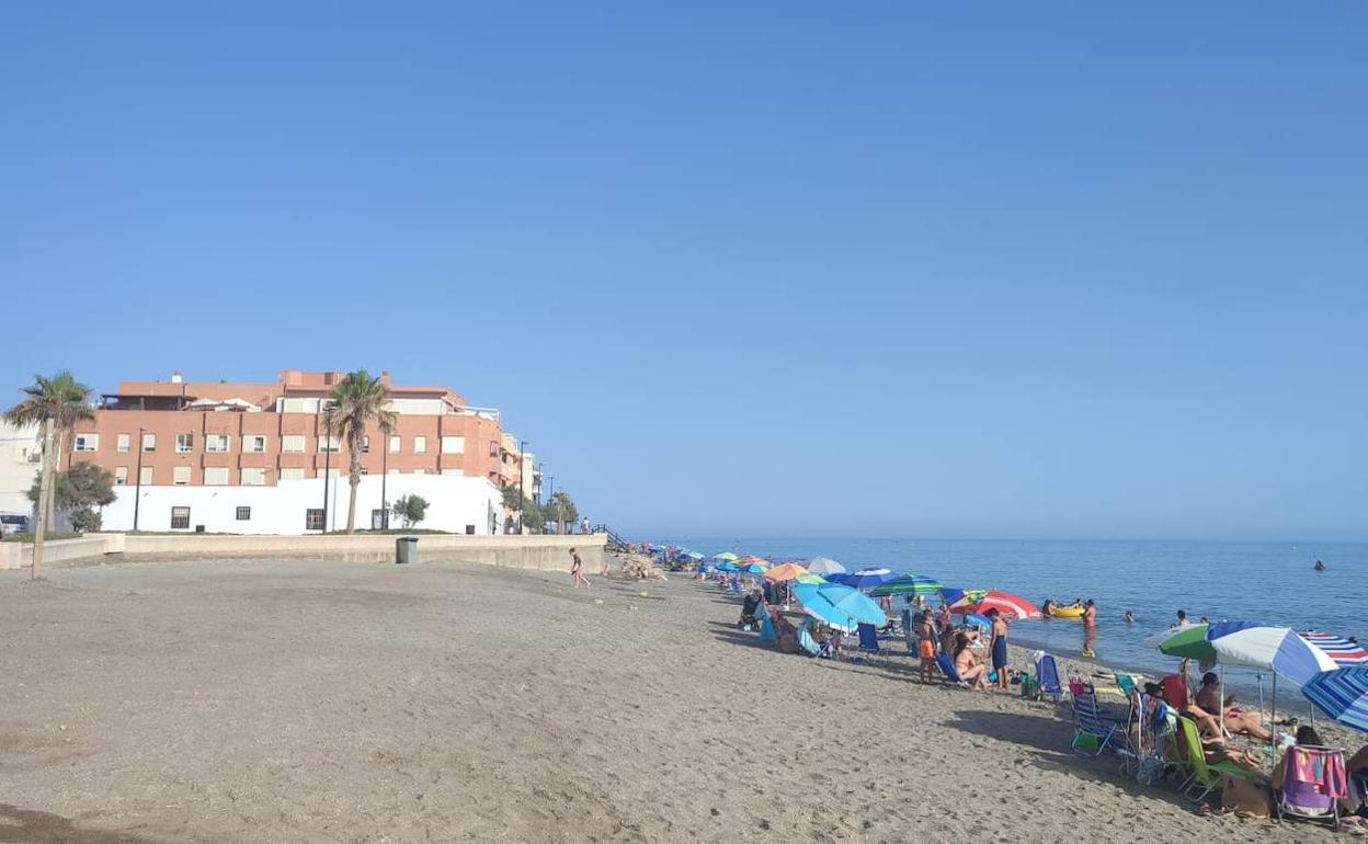 Espigones horizontales a la línea de costa o plantación de algas para la playa balermera