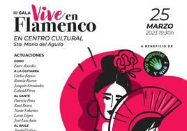 Llega la III Gala 'Vive en Flamenco' a favor de Soy Especial y Qué