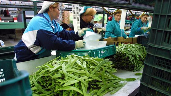 Cerrado el concurso de acreedores de Agrupaejido, que supera la insolvencia