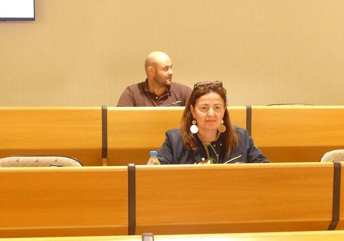 El Pleno aprueba por unanimidad una moción para que el tren llegue a El Ejido