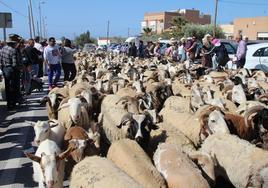 Cerca de 4.000 cabezas de ganado participaron de la trashumancia.