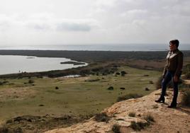 El PSOE promete 10.000 árboles más al año