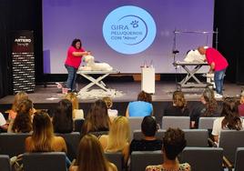 Los mejores peluqueros caninos se dan cita en El Ejido para arrancar una gira nacional por la pequeña Alma