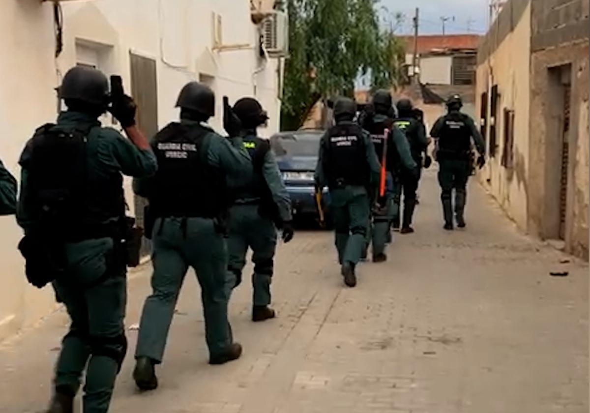 Encuentran casi 2.000 plantas de marihuana y detienen a 12 personas por una red de narcotráfico