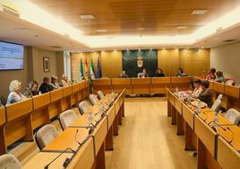 El Centro de la Mujer recibe 176 consultas sobre violencia de género en lo que va de año