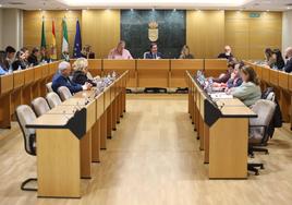 El Ejido pide acogerse a una ayuda de 2,4 millones para mejorar la gestión del agua