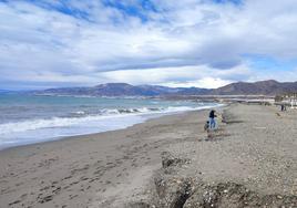 El PP busca el apoyo del Parlamento para exigir la solución urgente y defintiva para Balerma