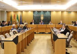 El Pleno votará mañana una moción para garantizar la atención integral de los enfermos de ELA