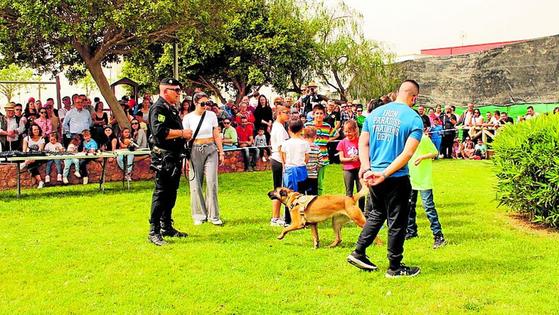 Los animales toman el protagonismo en El Ejido