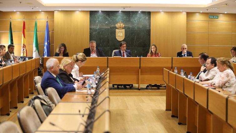 El Ayuntamiento aprueba el convenio con el Ayuntamiento de Roquetas por la Torre del Cerrillo