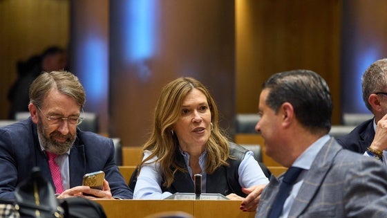 El PP urge a Transportes a dar prioridad a los enlaces de la A-7 en El Ejido
