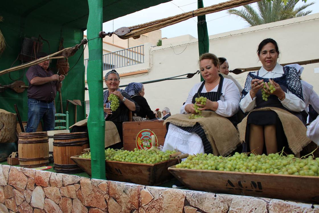 Multitudinaria Procesión-Romería en honor a San Marcos