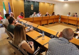 La asociación 'Nos comunicamos todos' entra a formar parte del Consejo de la Discapacidad