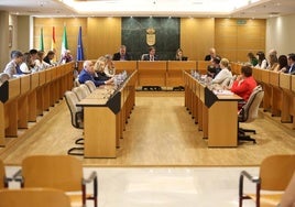 El Ayuntamiento podrá destinar 638.0000 euros de remanente a finalizar proyectos