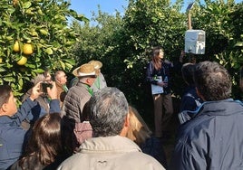 El proyecto DemoFarm Andalucía, candidato a los premios europeos de Inspiración Agraria y Rural