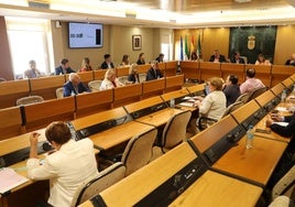 El Ayuntamiento incrementa el presupuesto de DUE para limpieza y mantenimiento hasta 12,7 millones