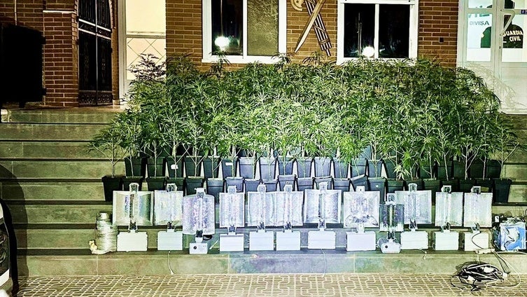 Detenidos en Dalías con 100 plantas de marihuana en una furgoneta de alquiler