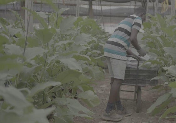 Una de las escenas que se podrán ver en el documental 'Reflejos de la casa verde'.