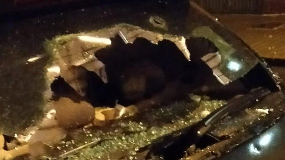 Una gran tormenta de granizo sorprende a El Ejido: «No hemos vivido nunca nada parecido»