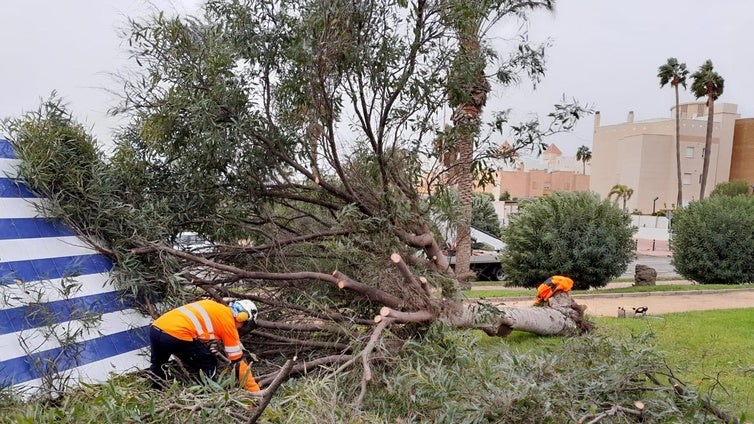 La DANA deja daños por 6,8 millones en instalaciones municipales y edificios públicos de El Ejido