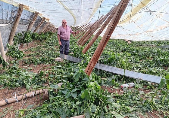 Antonio Olivares, agricultor, ha perdido su invernadero de media hectárea.