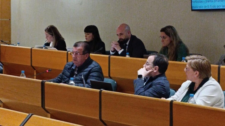 Piden solucionar el problema de la falta de aparcamiento en el centro de El Ejido