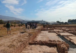 Ciavieja en El Ejido.