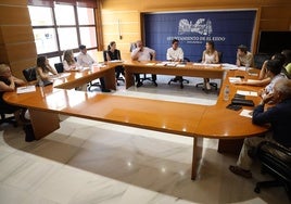 La Junta de Gobierno del Ayuntamiento de El Ejido dio el visto bueno a varios puntos de interés.