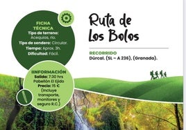 Cartel de la actividad.