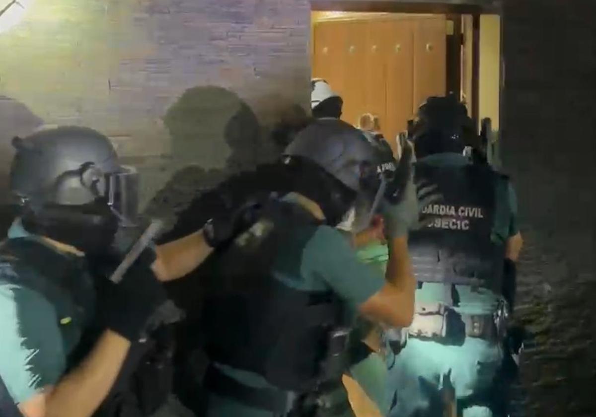 Doce detenidos en tres operaciones simultáneas en El Ejido, con 6.000 plantas de marihuana intervenidas