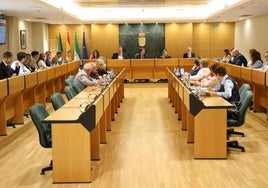 Imagen de un pleno reciente.