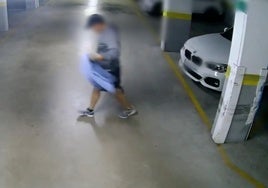 Detenido un ladrón de piezas de vehículos de alta gama tras robar cámaras de seguridad en El Ejido