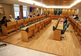 El alcalde, Francisco Góngora, ha presidido el órgano junto a la edil de Comercio, María Herminia Padial.