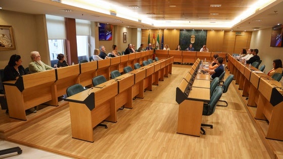 Un plan estratégico con cuatro ejes para fortalecer el sector del comercio de El Ejido