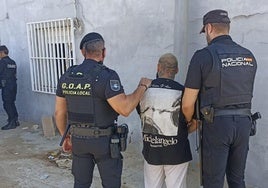 Cuatro detenidos en El Ejido al desmantelar tres plantaciones de marihuana y una nave con cocaína y armas