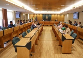 El Pleno Municipal se celebra en el Ayuntamiento de El Ejido.
