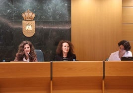 Un momento del Consejo Municipal de la Mujer.