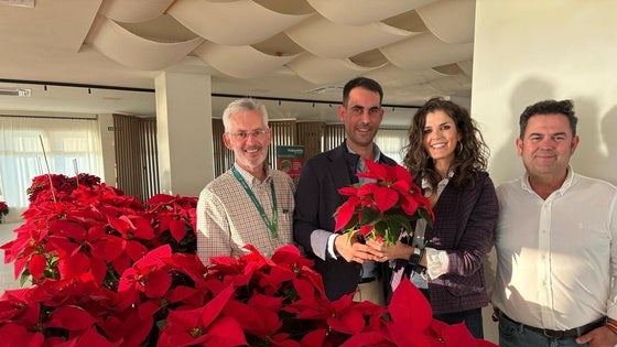 Servicios Sociales recibe una donación de 500 plantas para decorar varios centros en El Ejido