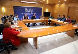 La Junta de Gobierno ha dado el visto bueno a este contrato que se prestará de lunes a domingo.