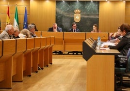 Unas obras que Góngora afirmó que «son esenciales para garantizar la seguridad de las personas y la protección de la actividad agrícola».