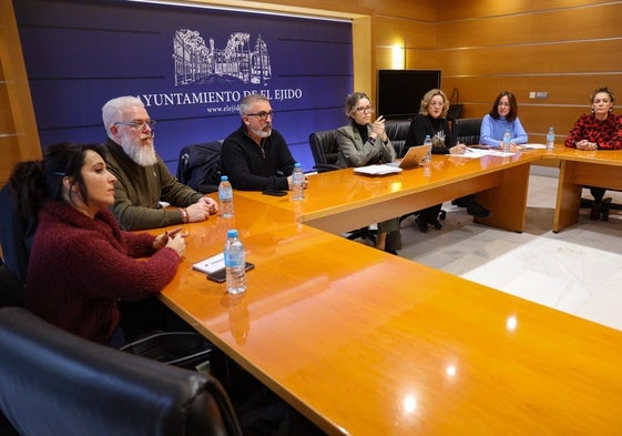Un momento de la Comisión de Trabajo del Plan Estrátegico.