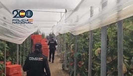 Detenidos dos empresarios agrícolas en El Ejido por emplear a migrantes en situación irregular