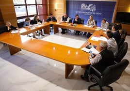 La Junta de Gobierno se celebra en el Ayuntamiento de El Ejido.