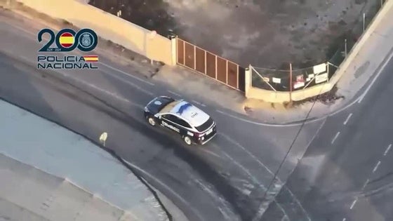 Desmantelan en Matagorda un invernadero con 5.000 plantas de marihuana