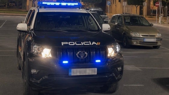 Detenido en El Ejido por vandalizar coches mientras se grababa en vídeo